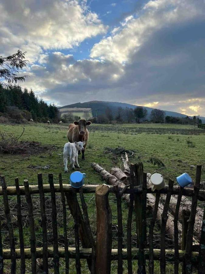 Aughavannagh Yurt Glamping Aughrim Exterior photo